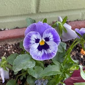 Meet your Posher, Logan